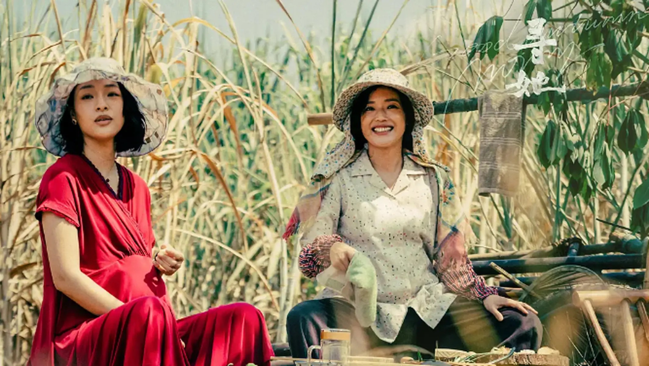 如果我死了，请不要用Sora复活我