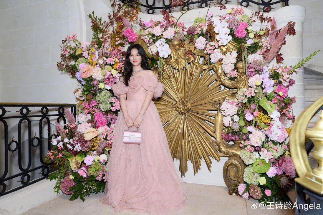 向展鹏近期动态及相关争议梳理