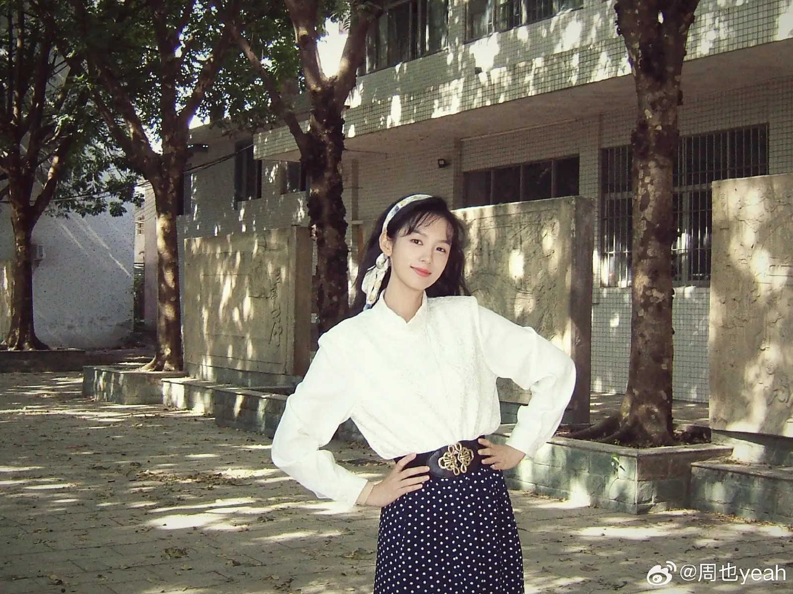 老张书舍不平凡